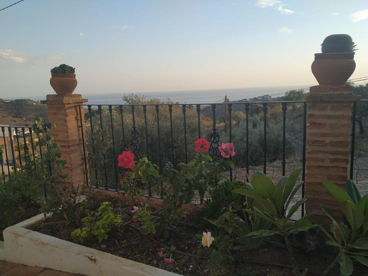 מאלגה Paraje El Pozo מראה חיצוני תמונה
