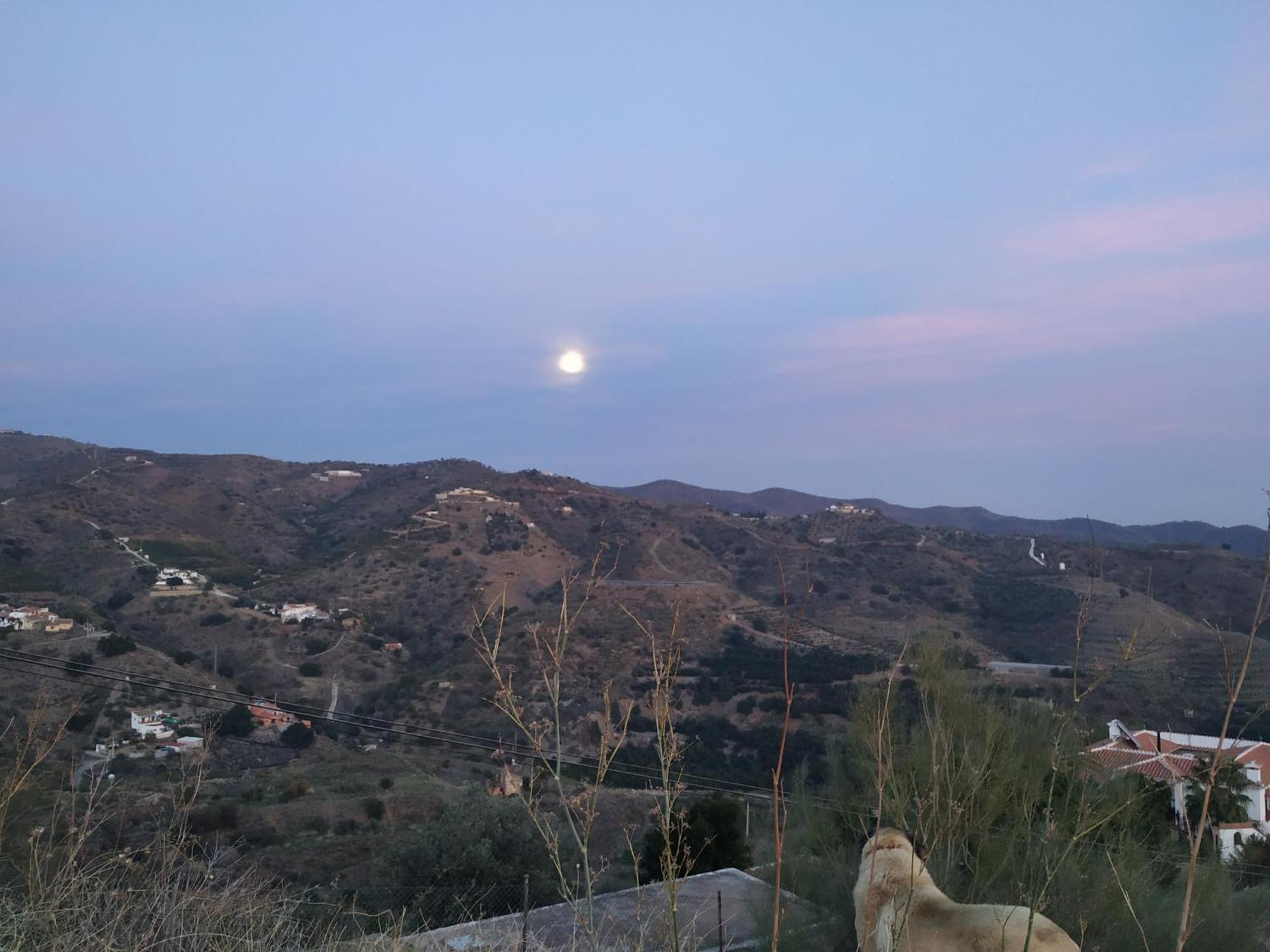 מאלגה Paraje El Pozo מראה חיצוני תמונה