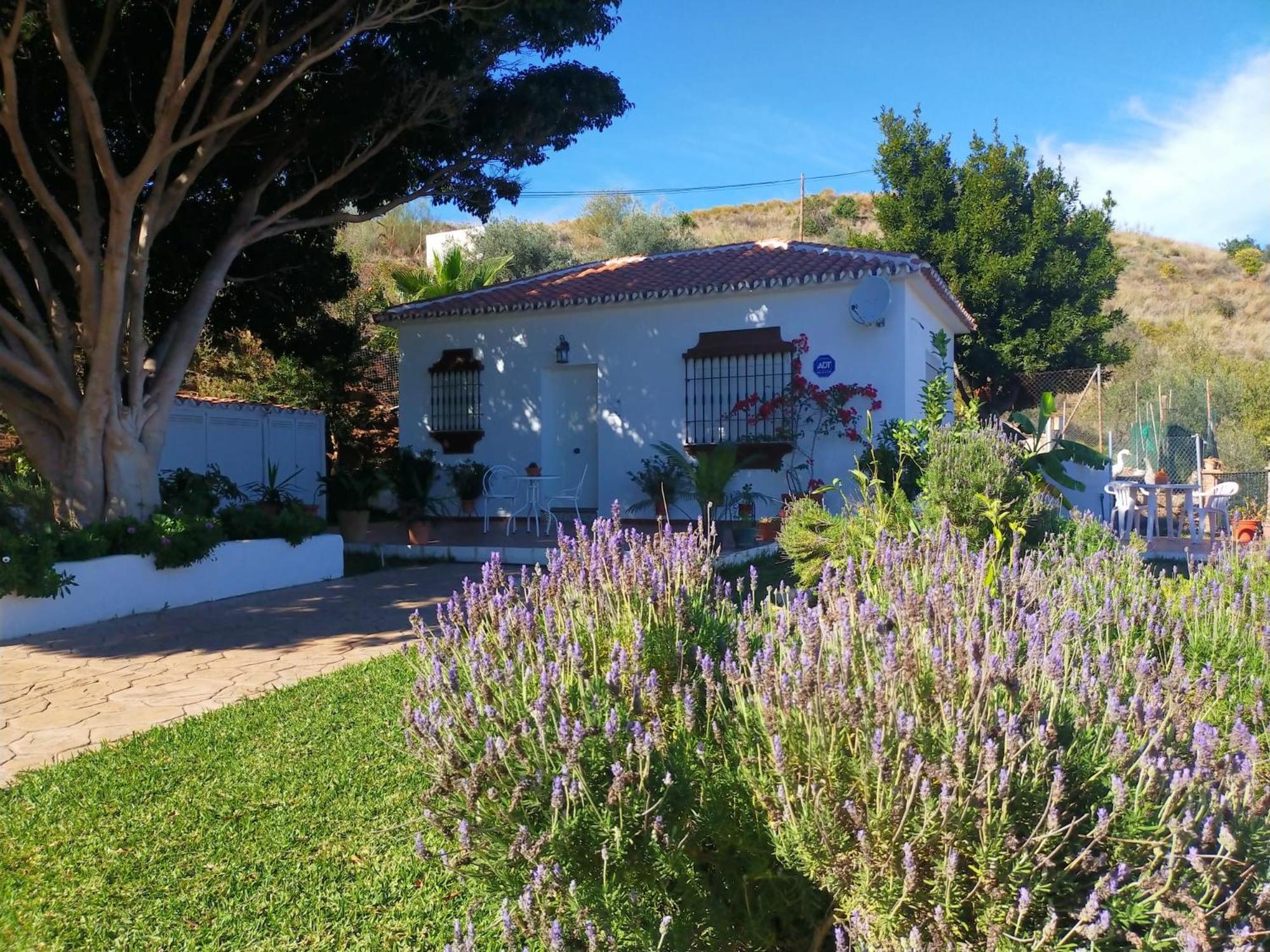 מאלגה Paraje El Pozo מראה חיצוני תמונה