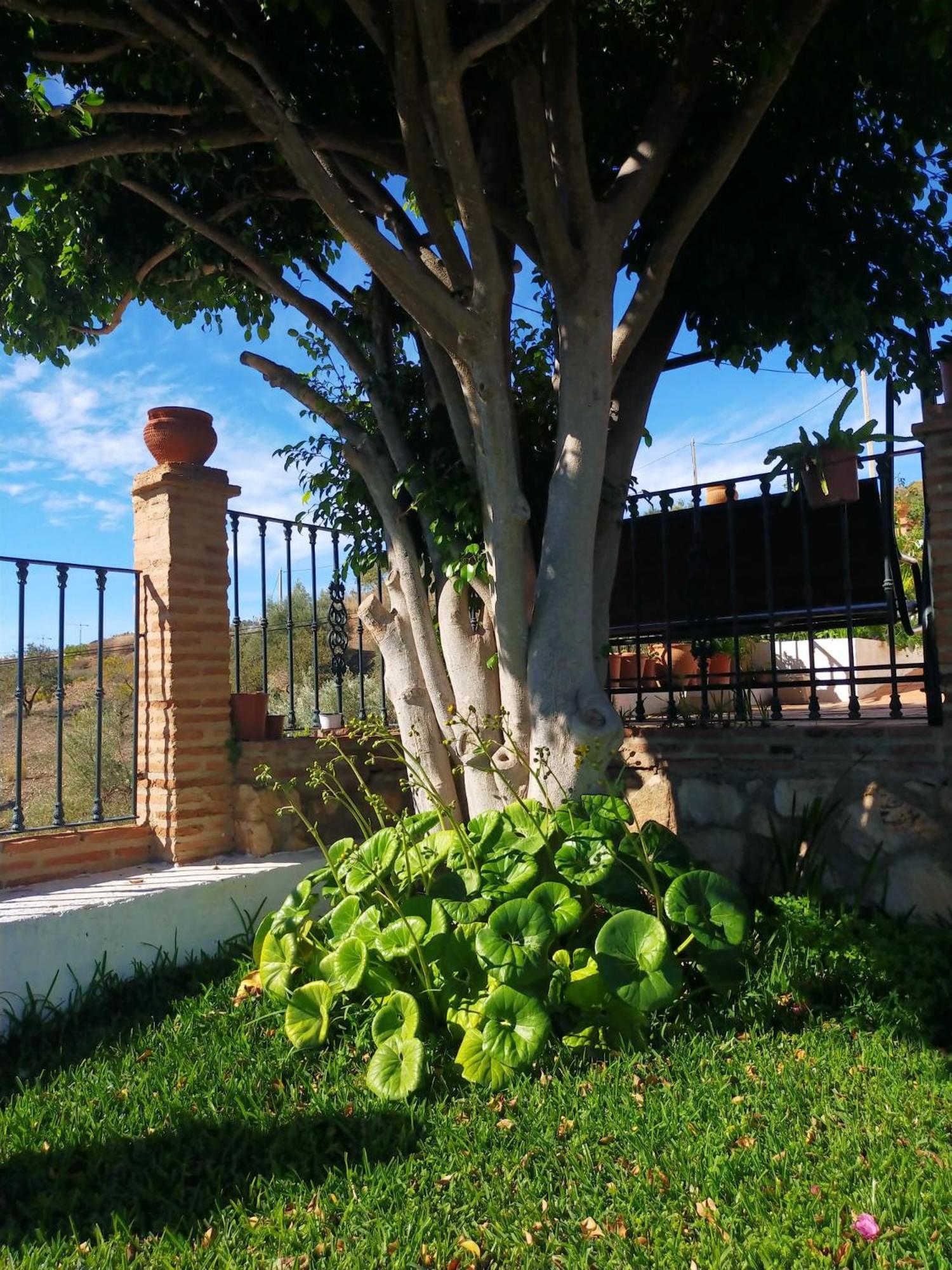 מאלגה Paraje El Pozo מראה חיצוני תמונה